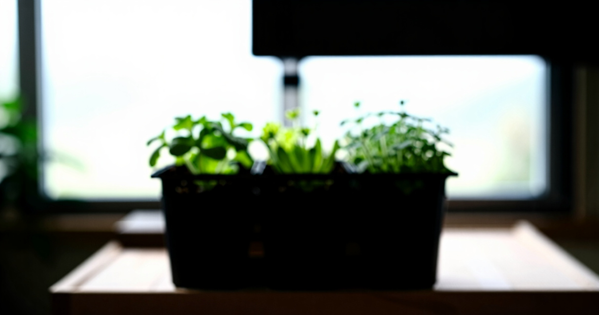 best premium indoor herb garden