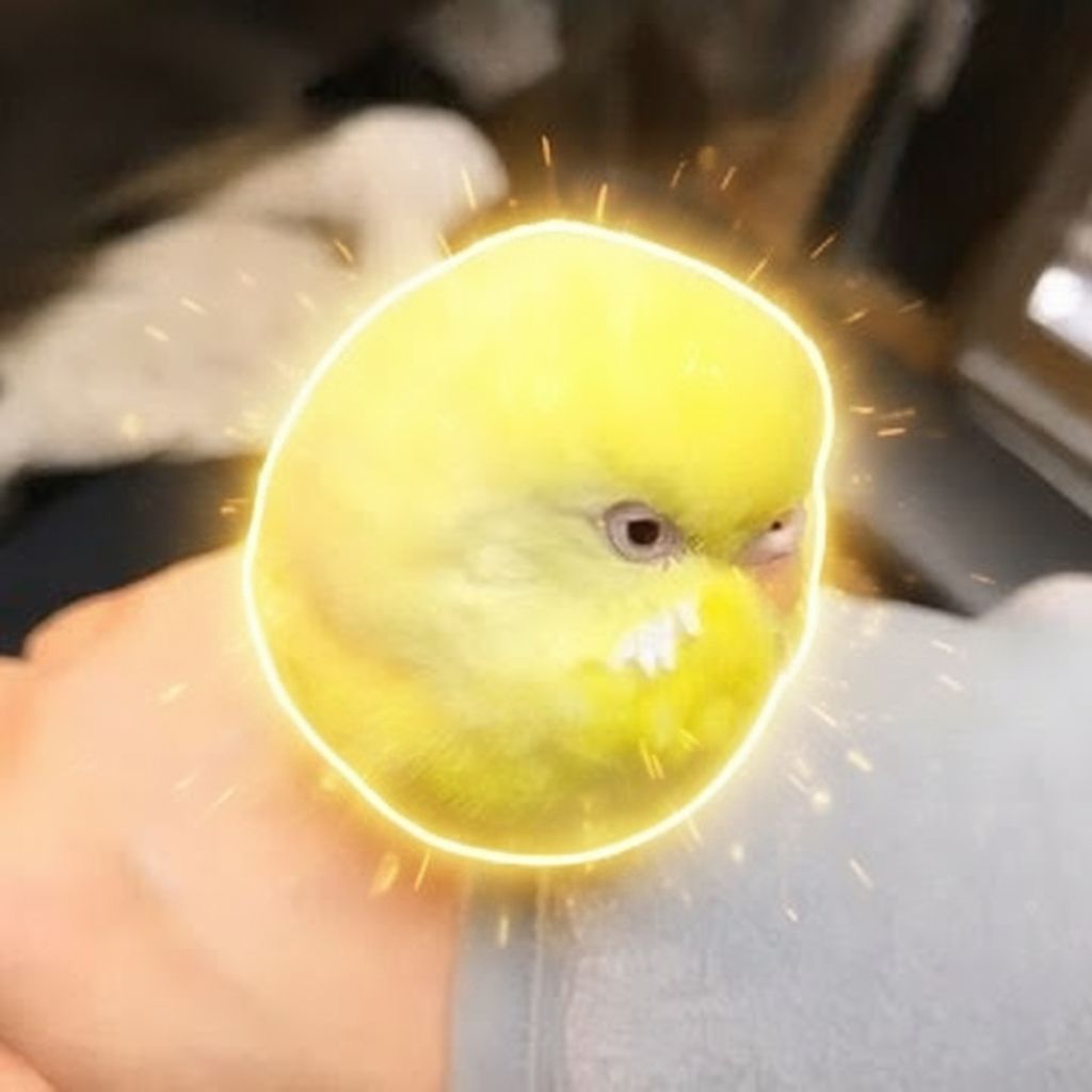 BUDGIE